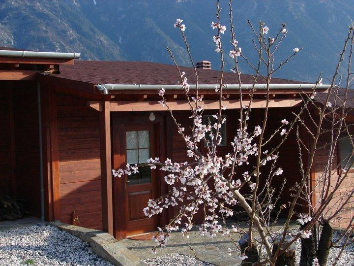 Villa Rustica Konitsa Exterior foto