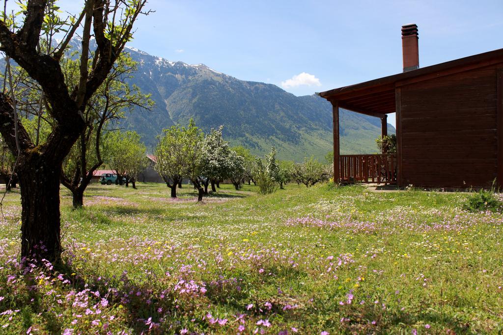 Villa Rustica Konitsa Exterior foto