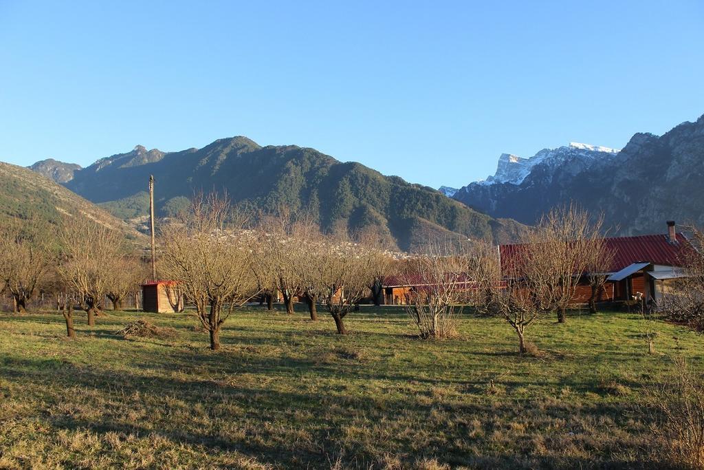 Villa Rustica Konitsa Exterior foto