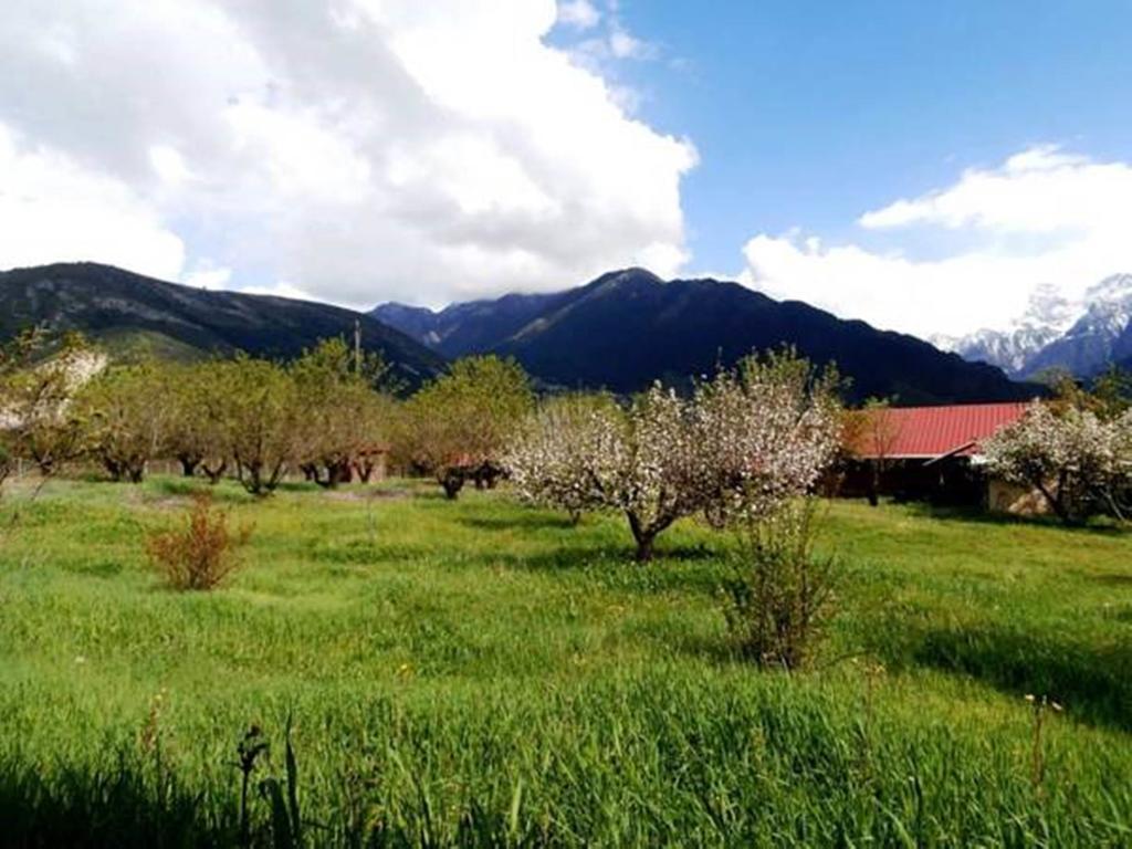 Villa Rustica Konitsa Exterior foto