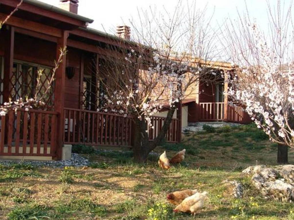 Villa Rustica Konitsa Habitación foto